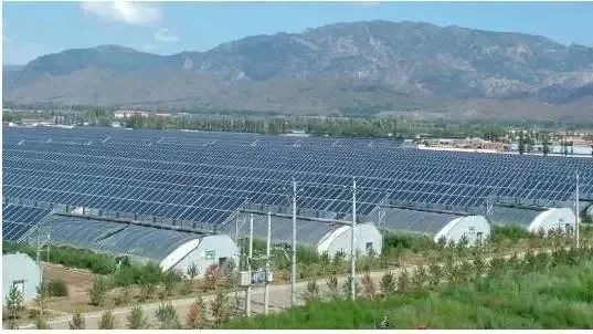 如何选择适合农业的光伏材料 如何选择适合农业的光伏材料