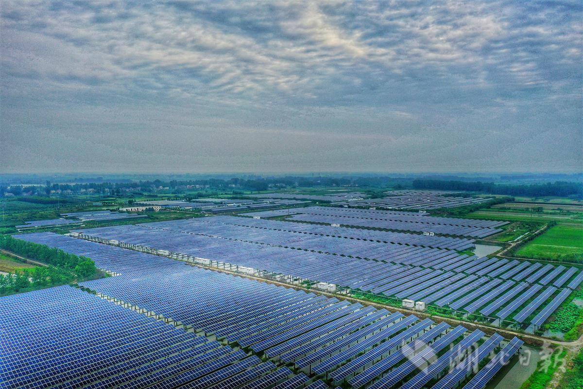 光伏技术如何在现代农业中发挥作用