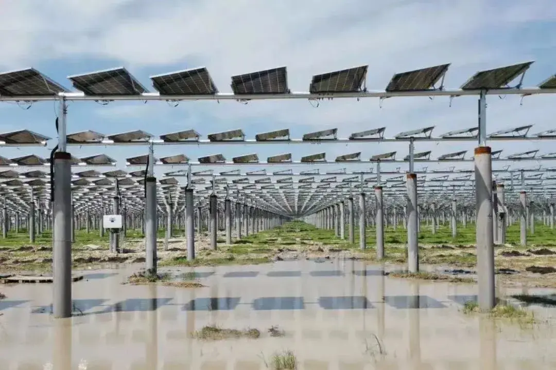 极端湿度对光伏电池的长期影响是什么