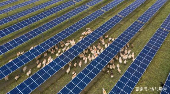 光伏材料回收的科技创新与发展趋势是什么