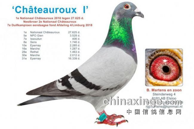 澳大利亚篮球豪杰:勇夺世界亚军 澳大利亚篮球豪杰:勇夺世界亚军