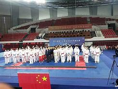 南亚运动员壮志凌云,金银铜全揽归 南亚运动员壮志凌云,金银铜全揽归