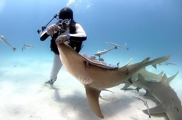 足球赛场上热血奋战,壮举让人叹为观止 足球赛场上热血奋战,壮举让人叹为观止